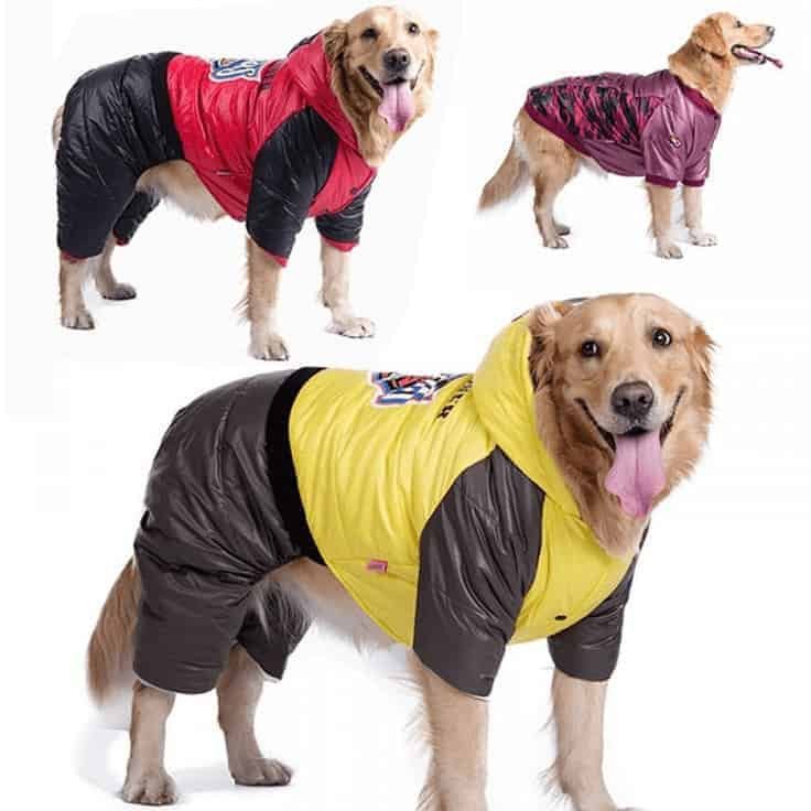 dog coats for large dog