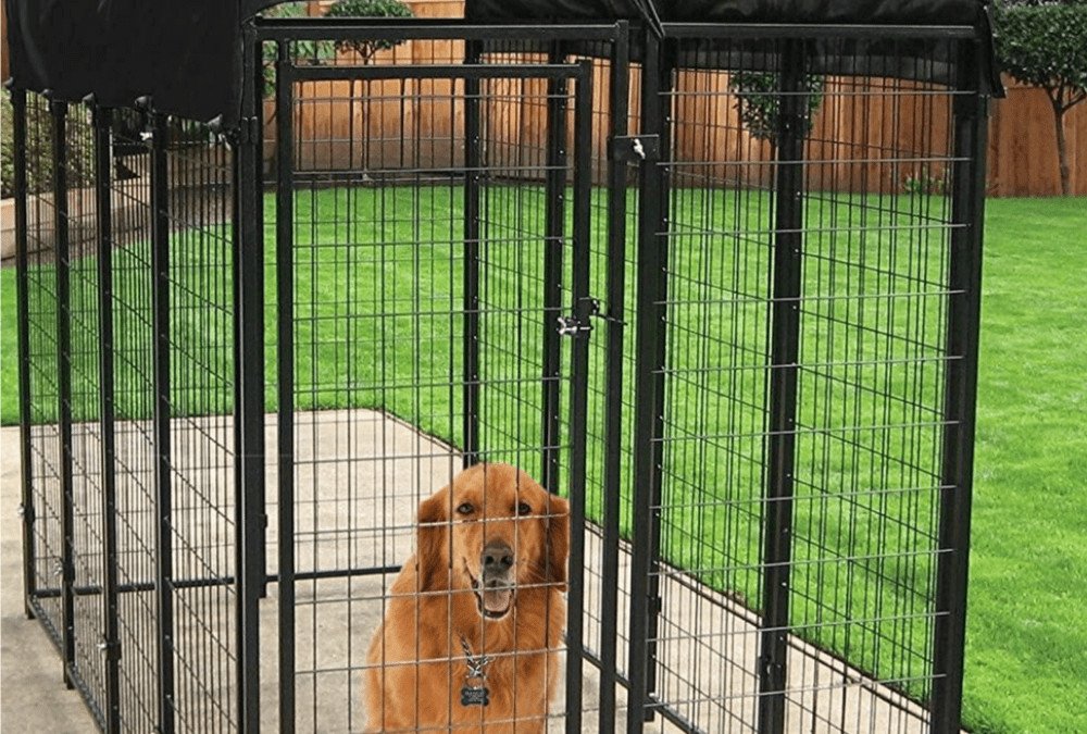 Why You Should Get A Dog Cage