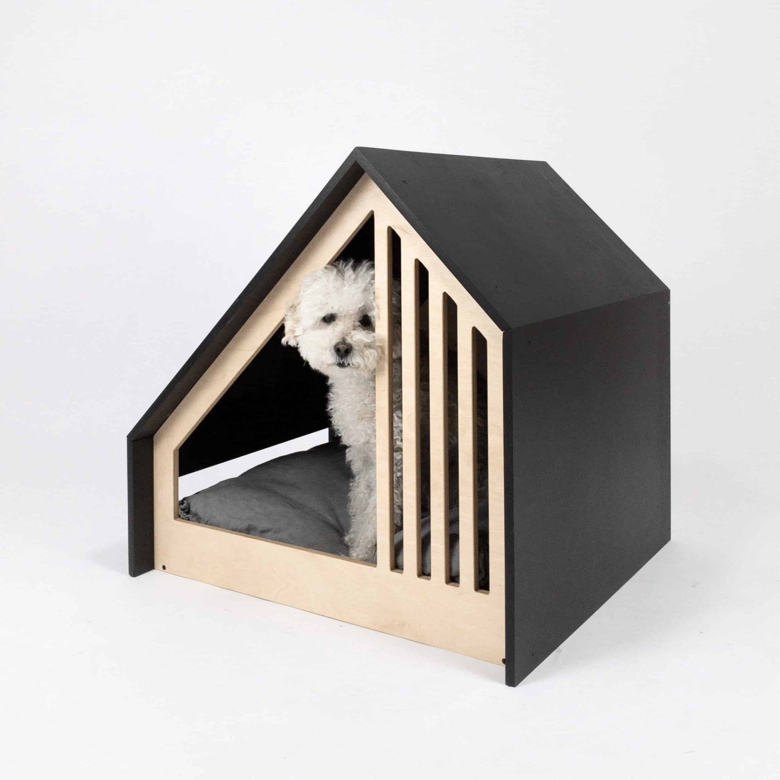 dog indoor house