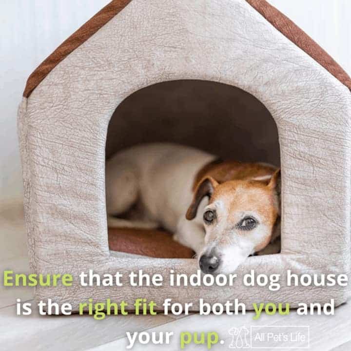 how do i choose a dog house