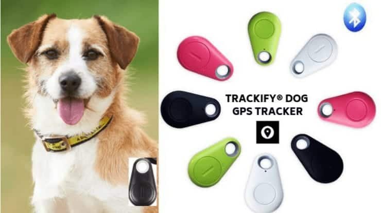 Dog GPS Tracker As a Gift For Dog Lover