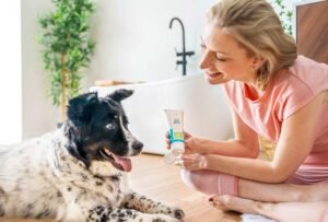 Dental Gel to clean your dog's teeth | woman with dog