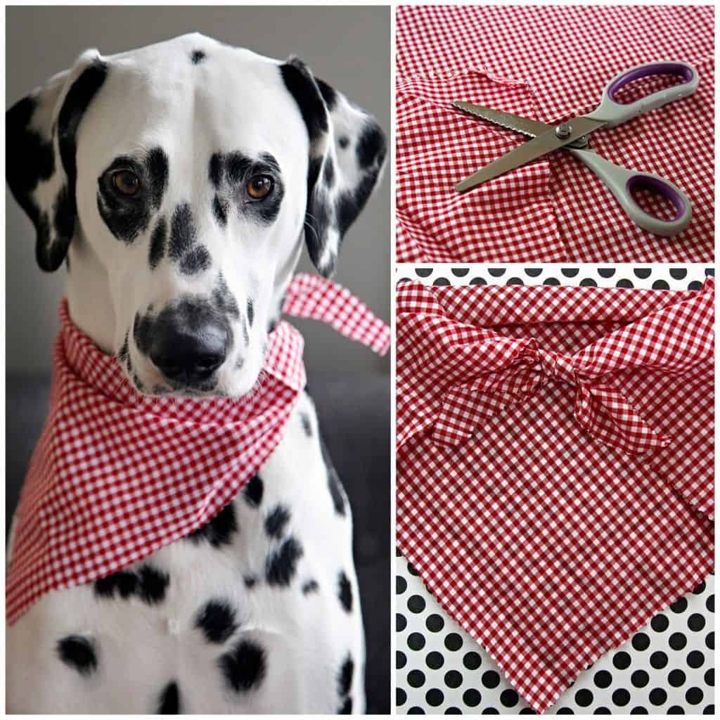 neckerchief for dog | dogsandbeauty 
