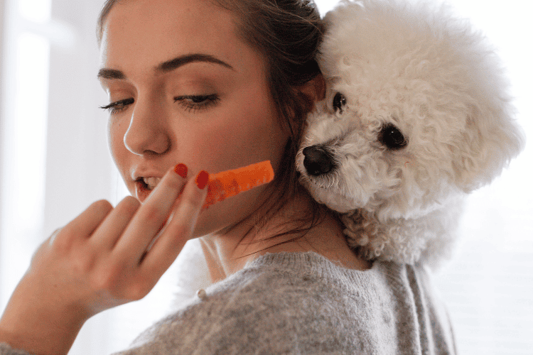 Why do Dogs Smelling Sense Superior to Humans?