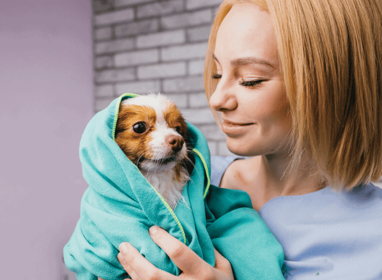 Dog Urgent Care: Beauty with Compassion