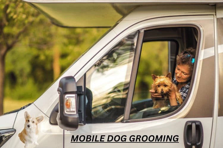 Healthier Coats, Happier Dogs: Latest Tech Mobile Dog Grooming