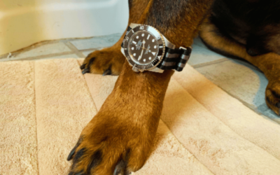 Dog Watch: Stay Stylish and On-Time with Your Furry Friend