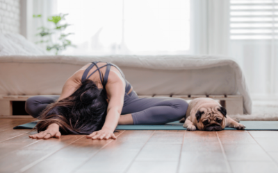 Puppy Yoga Near Me: Unique Path to Fitness and Beauty for Pups