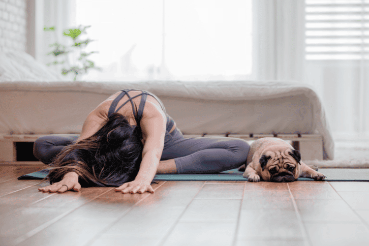 Puppy Yoga Near Me: Unique Path to Fitness and Beauty for Pups