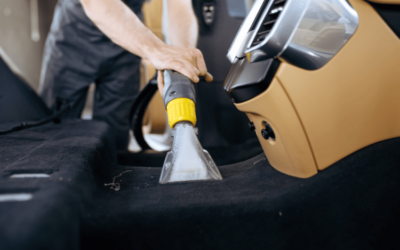 Remove Dog Hair From Car: Try These Top 10 Cleaning Tips