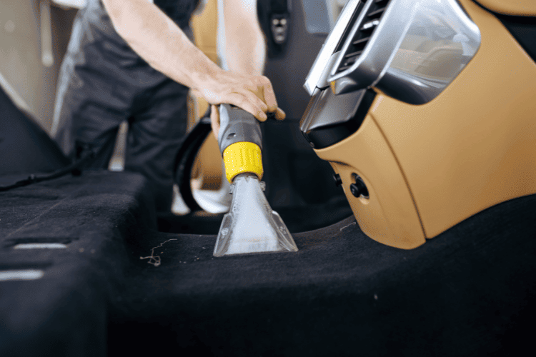 Remove Dog Hair From Car: Try These Top 10 Cleaning Tips
