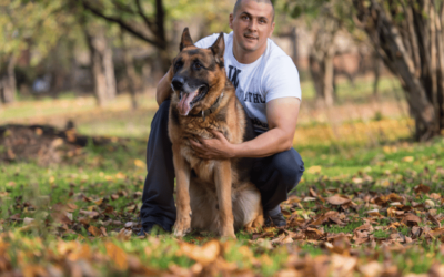 Rescue Dogs German Shepherd: A Tale of Beauty and Compassion